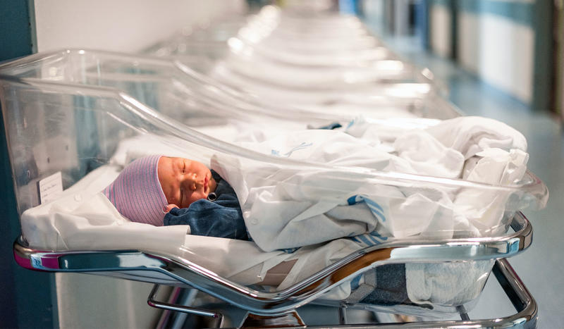 Ban Surrogacy. Ban Surrogacy. Ban Surrogacy
