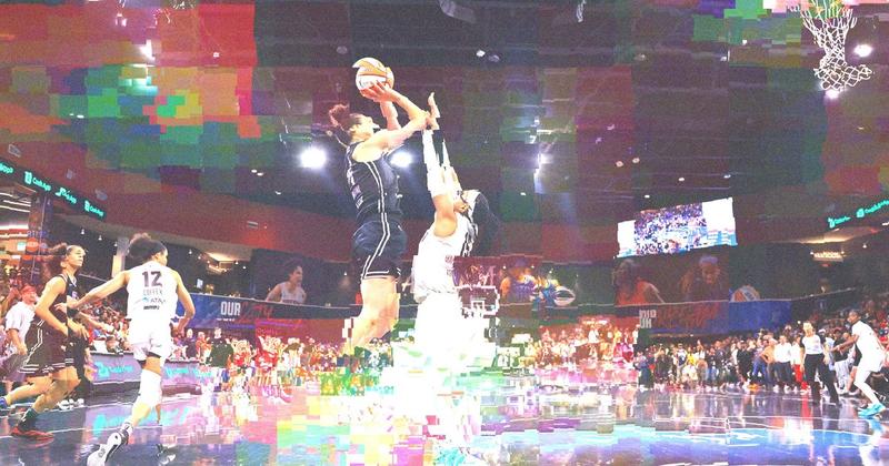 There Are Betting Markets for Dildo-Throwing at WNBA Games?