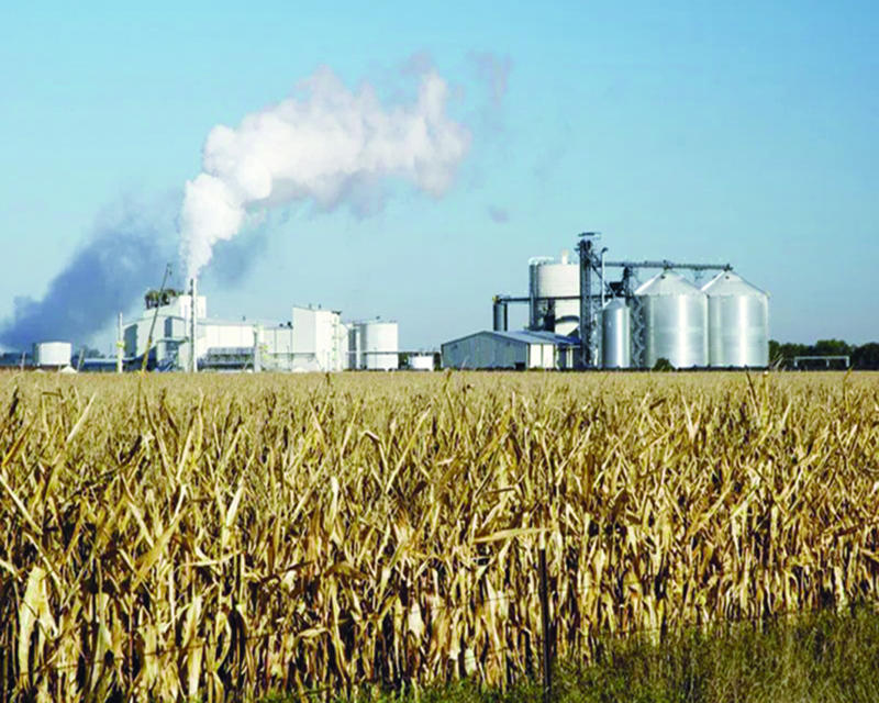 Biofuels for Sustainable and Clean Energy Transition