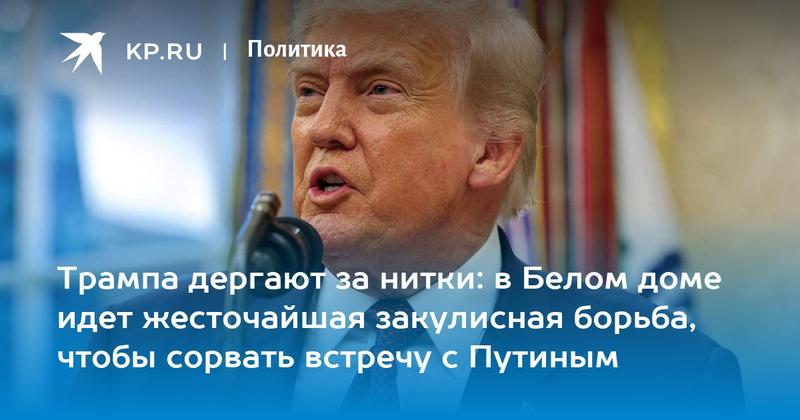 Трампа дергают за нитки: в Белом доме идет жесточайшая закулисная борьба, чтобы сорвать встречу с Путиным