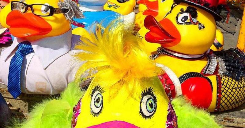 Popular duck race returns to town after six-year hiatus