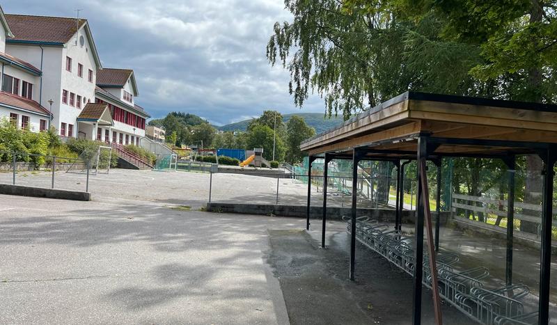 Trur dokke dette er ei sak som kun gjeld krinsane?