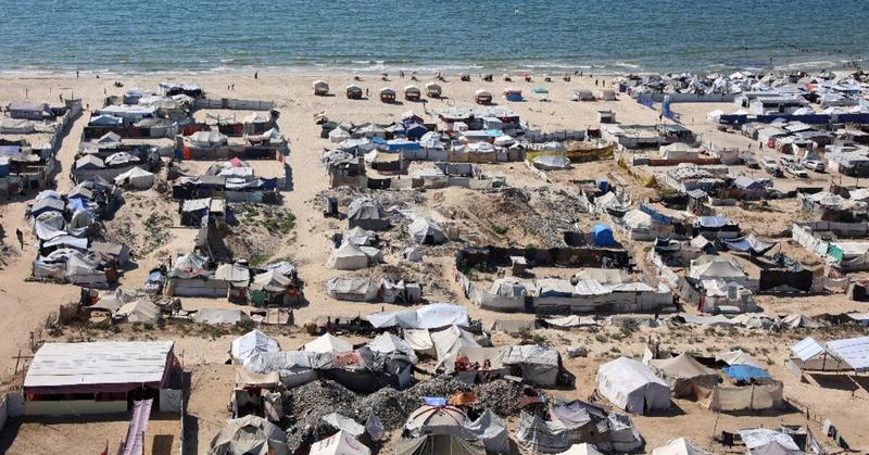 Gaza farmer grows vegetables in tent city to 'survive another day'