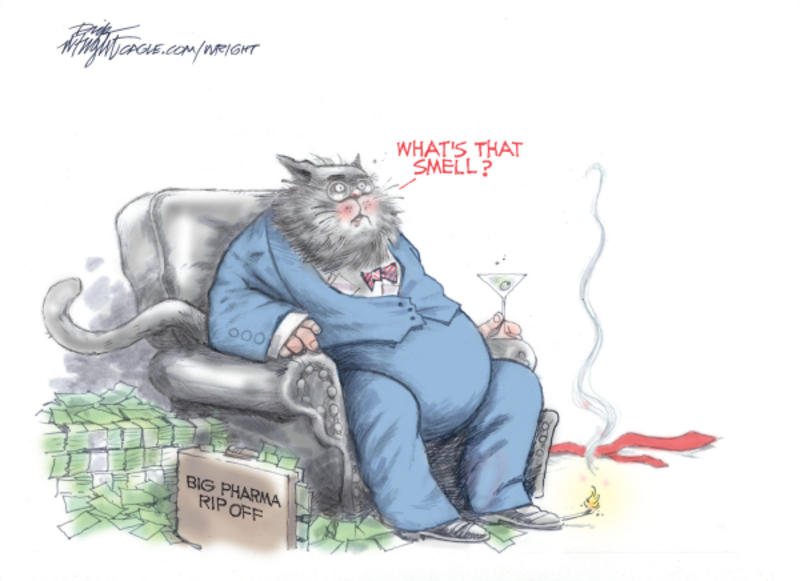 Cartoonists’ take