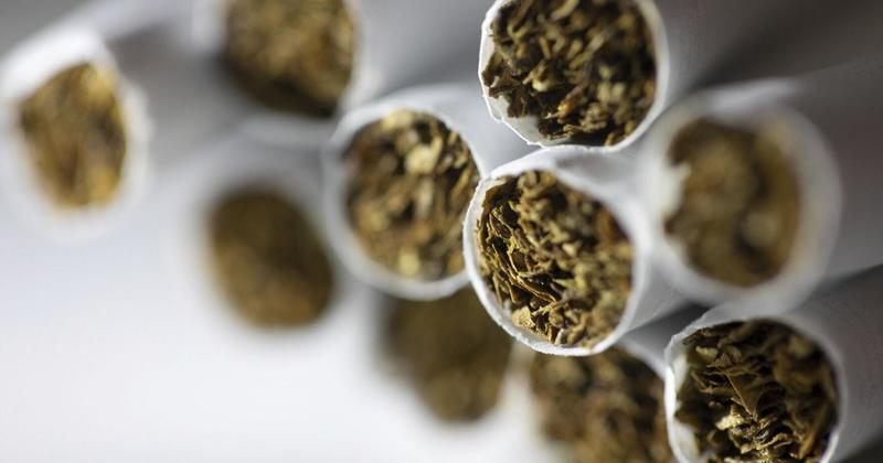 Letter: CDC and FDA cuts put public health at risk