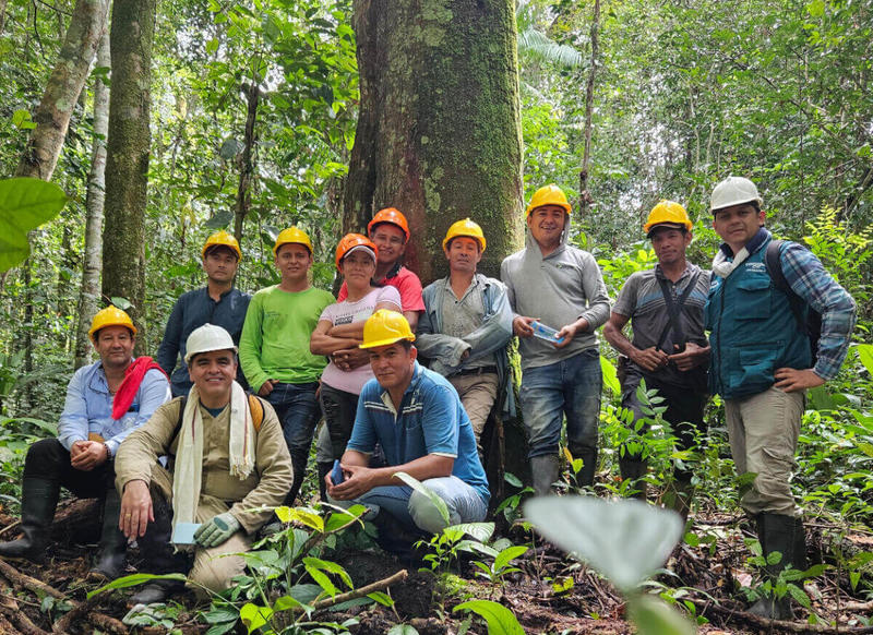 Plan contra la deforestación promete, pero tiene poca cobertura
