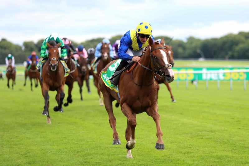 Four wagers for York and Ascot