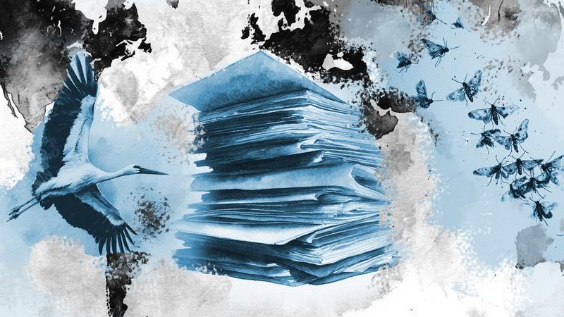 Interessantes über Bürokratie, Skandalöses über Störche: Die besten Sachbücher im August