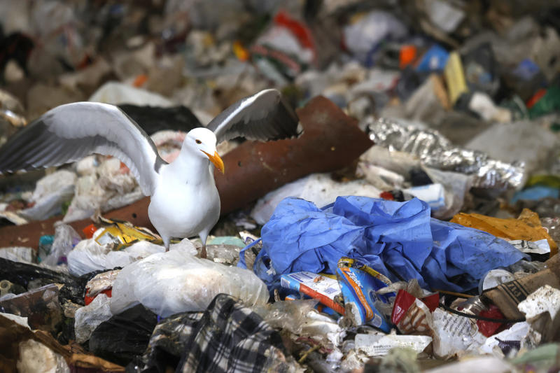 America's Plastic Crisis Demands Innovation, Not More Recycling | Opinion