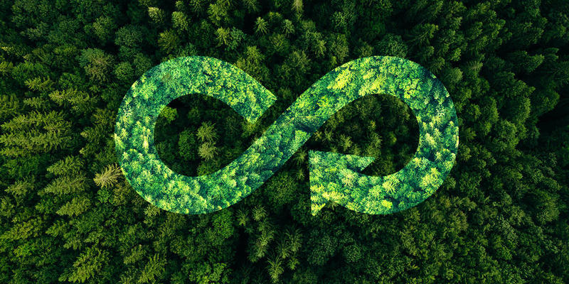 A New Economic Logic for Sustainability