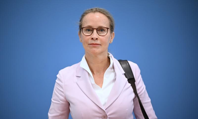 Der Fall Brosius-Gersdorf: Die Drückerkolonnen der AfD