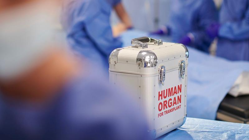 Grisly stories of patient deaths expose abuse in transplant system