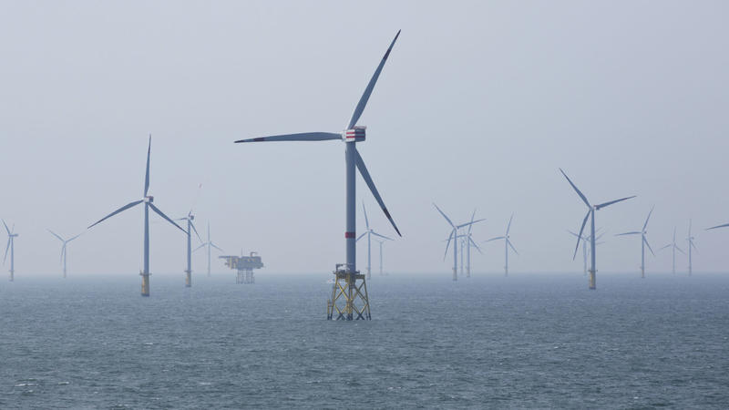 Wind Power: Suppose They Held an Auction . . .