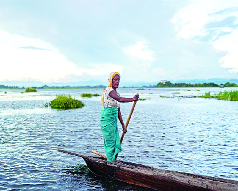 Inland fisheries: India's silent revolution in the blue economy