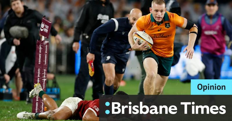 The Wallabies are back. Bring on the Boks