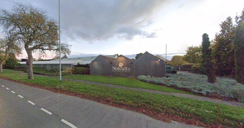 Popular city garden centre could house another business