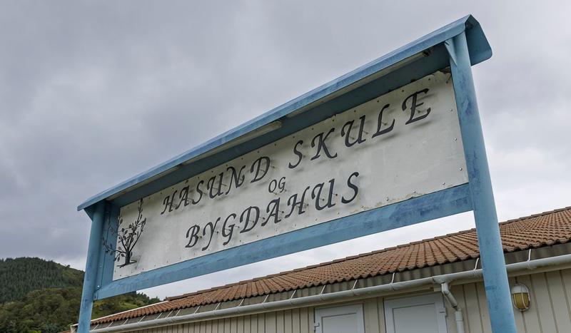 Den pedagogiske verdien av mellomstore skular