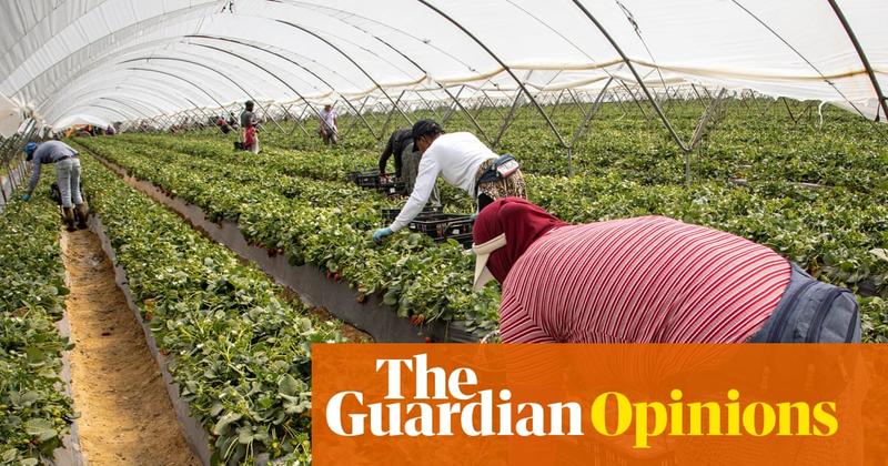 Spain’s economy is the envy of Europe, but the plight of its strawberry pickers tells another story