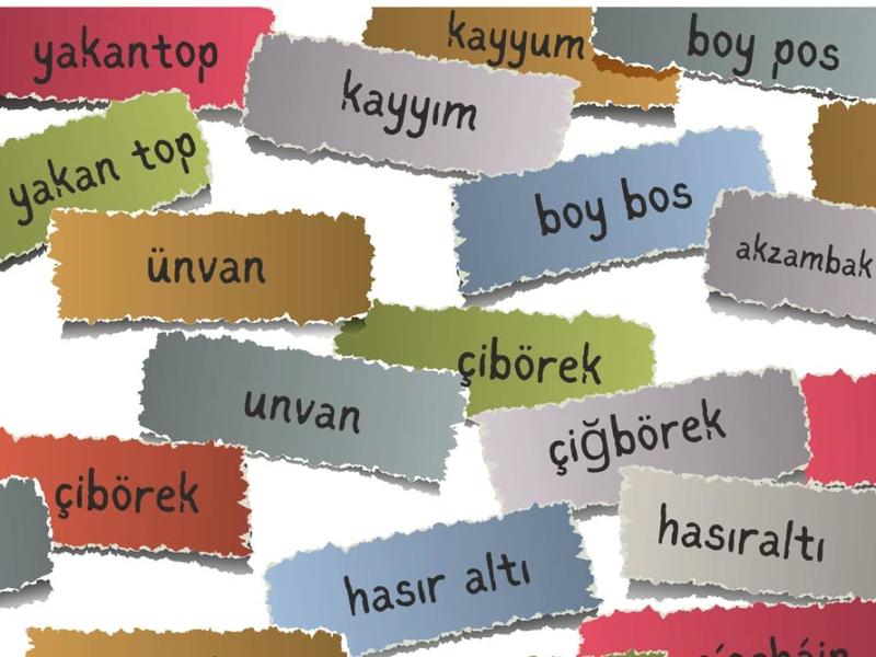 Yazımı değişen kelimeler: TDK söylüyor, medyanın çoğu dinlemiyor