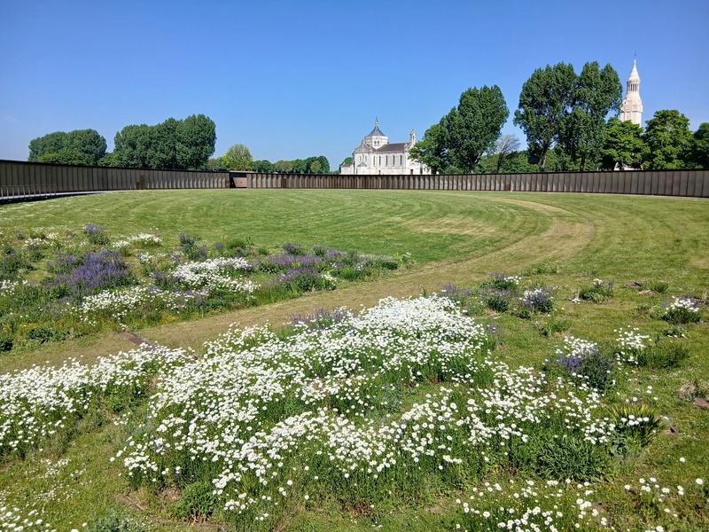 L'altra Francigena Arras, la città 