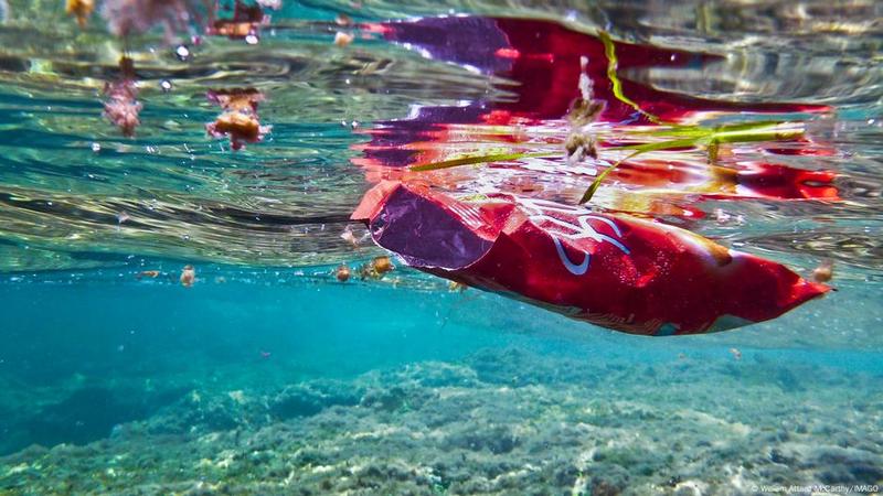 What environmental challenges does the Mediterranean face?
