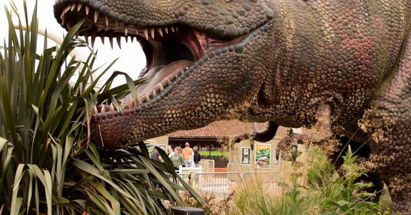 Norfolk attraction announces summer of adventure and savings