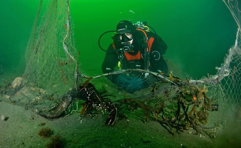Kan ikke se på at fjorden dør