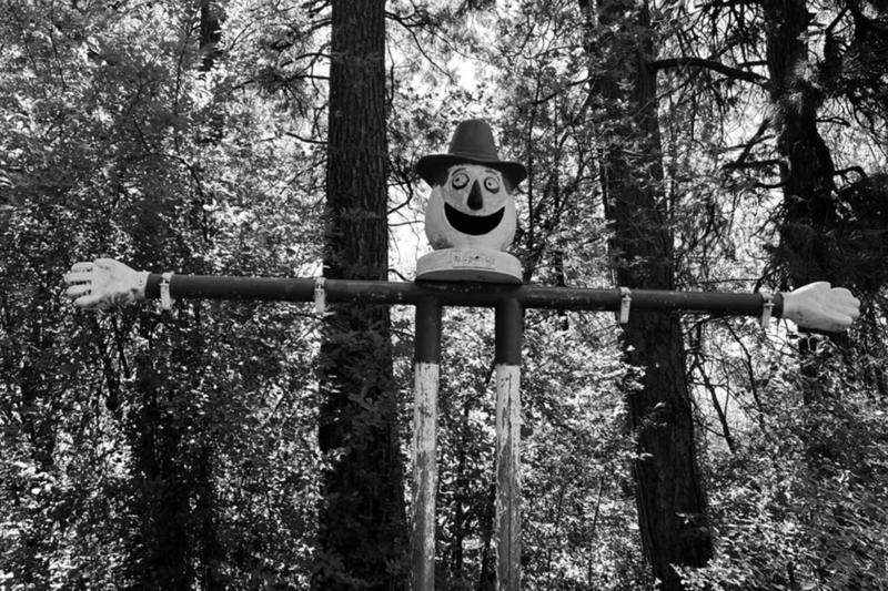 'Good god why are these here': A terrifying Mount Shasta mystery unravels