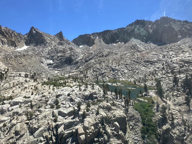 'Major milestone': Rare animal reintroduced to California national park