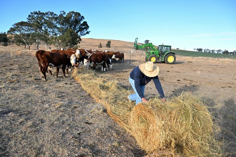 Triple whammy: how 3 types of drought crippled southern Australia this year
