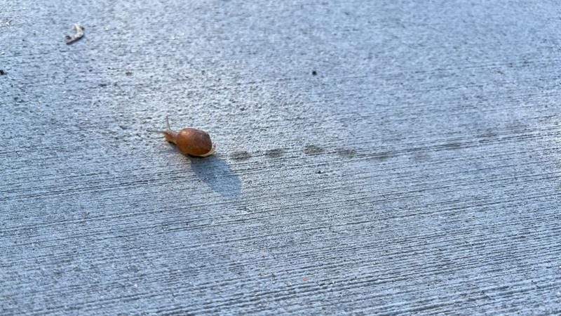 Why plodders win: we have longer lives, stronger relationships, successful careers