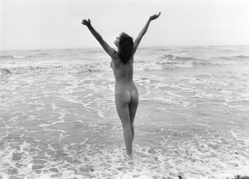Laid bare /					 													 						The politics of nudity