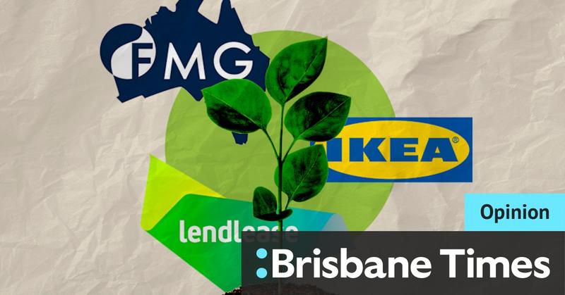 Forget net zero. We need ‘real zero’ – and these companies prove it’s profitable