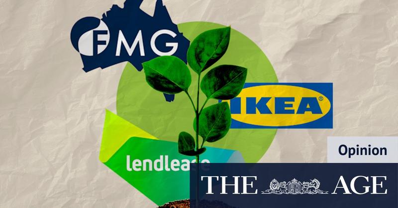 Forget net zero. We need ‘real zero’ – and these companies prove it’s profitable