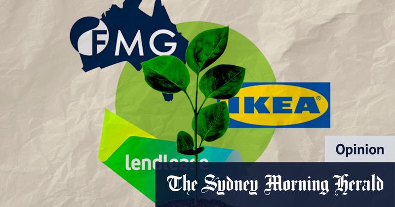 Forget net zero. We need ‘real zero’ – and these companies prove it’s profitable