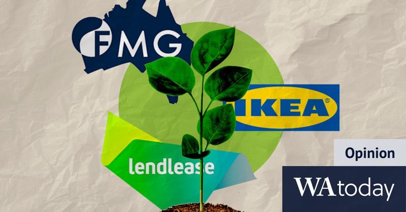 Forget net zero. We need ‘real zero’ – and these companies prove it’s profitable