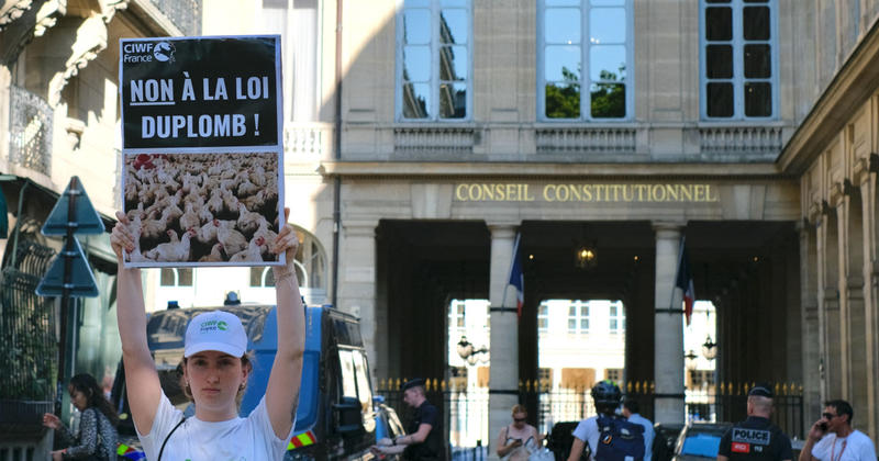 La censure partielle de la loi Duplomb, une leçon de démocratie