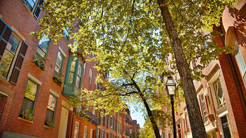 Inside an urban heat island, one street can be much hotter than its neighbor – new tech makes it easier to target cooling projects
