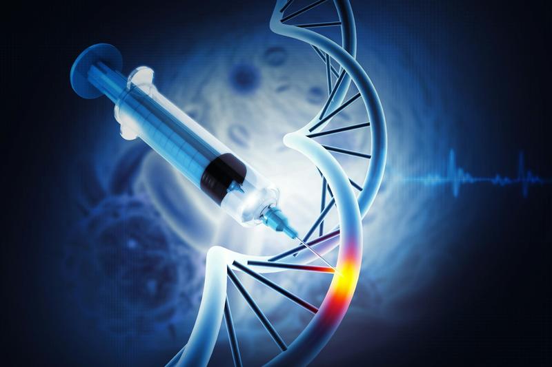 Gene therapy can be less effective in women – and my research in mice brings us one step closer to understanding why
