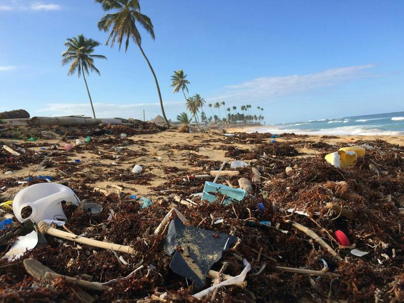 How microbes could help solve the world’s plastic pollution crisis