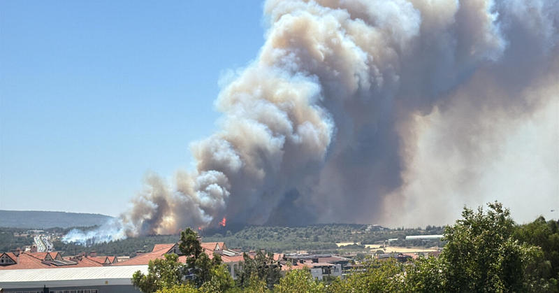 Hundreds evacuated in northwestern Turkey as authorities fight wildfires