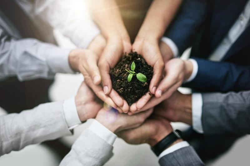 How CEOs Can Reframe Sustainability As Vital To Business