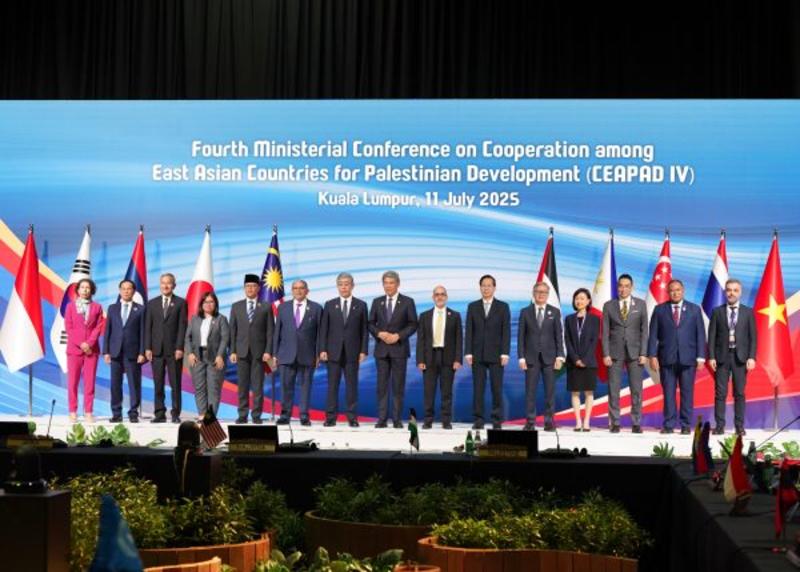 CEAPAD and Japan’s Cautious Approach to Palestine