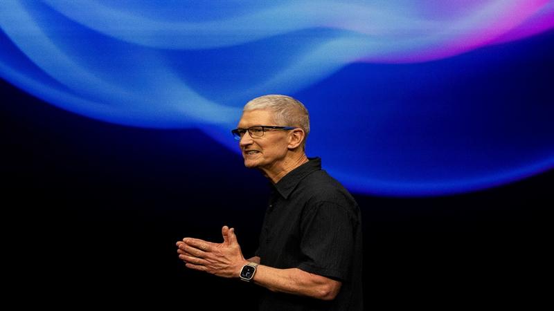 The curious case of missing US CEOs