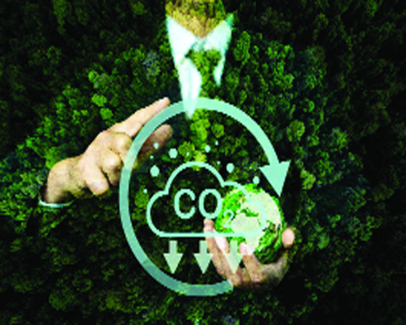 India’s Biofuel Boom Faces a Carbon Accounting Crossroads