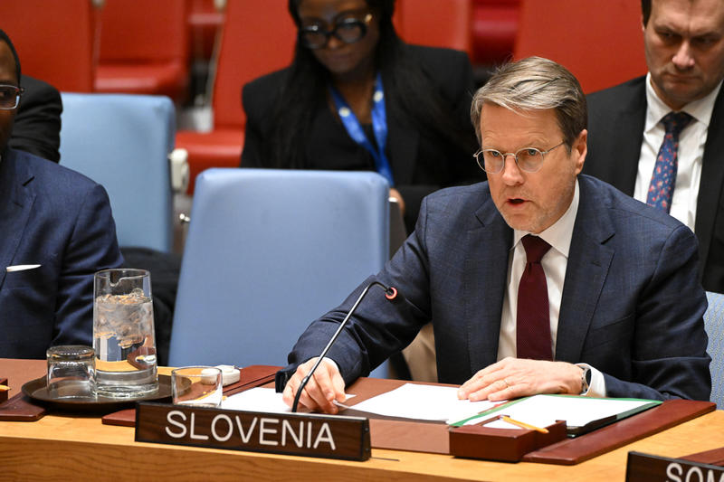 (NA ZAHODU NIČ NOVEGA) Kolumna Matjaža Grudna: Slovenija proti genocidu