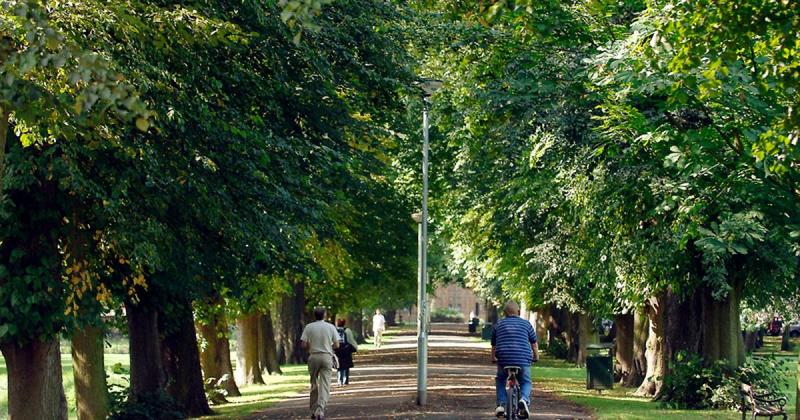 Man due in court accused of being naked in Norfolk park