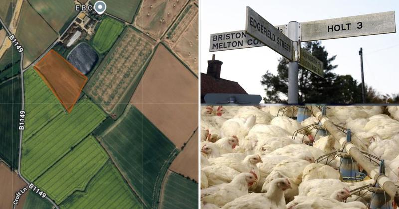 Approval for major chicken farm to be reversed after legal challenge