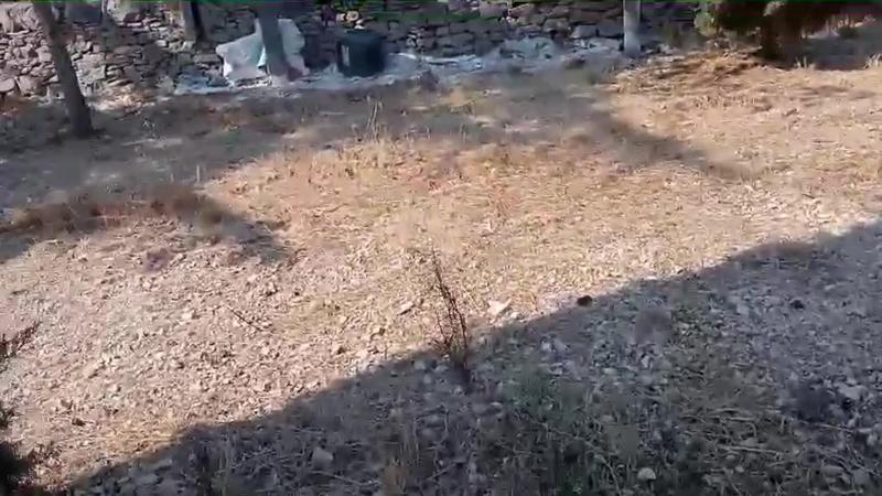 Il degrado dell’area sgambamento tra via Corato e via Pertini, la denuncia di un lettore