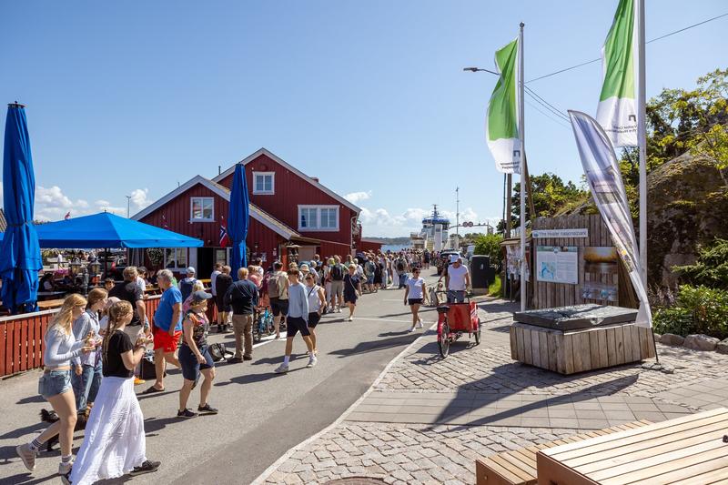 Hvaler trenger handling – ikke bare visjoner